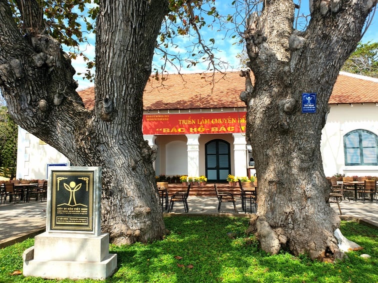 Thay[-]đổi[-]cách[-]ứng[-]xử[-]với[-]thiên[-]nhiên[-]và[-]xây[-]dựng[-]văn[-]hoá[-]môi[-]trường[-]hướng[-]tới[-]phát[-]triển[-]bền[-]vững[-]đất[-]nước